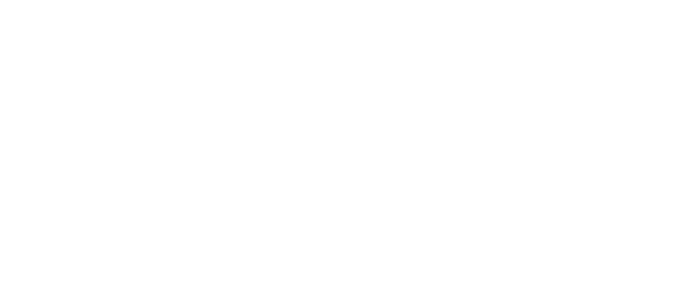 この複雑さ、この繊細さ、この正確さ、技術あり。